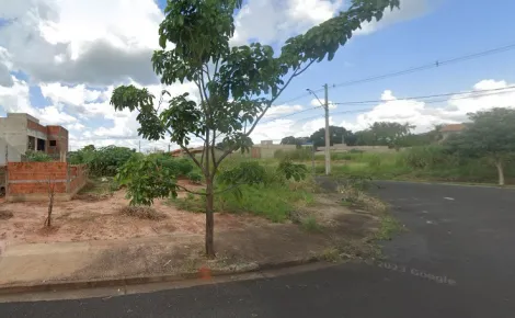 Terreno / Padrão em São José do Rio Preto 