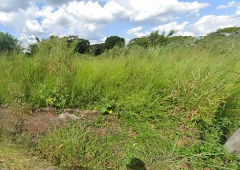 Terreno / Padrão em São José do Rio Preto 