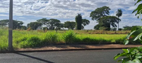 Comprar Terreno / Padrão em São José do Rio Preto apenas R$ 82.500,00 - Foto 2