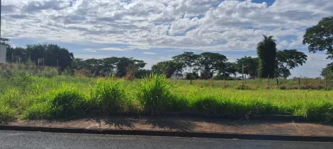 imagem 3 - Anúncio de Terreno em Ótima Localização no Parque Vila Nobre imagem 3 - Anúncio de Terreno em Ótima Localização no Parque Vila Nobre