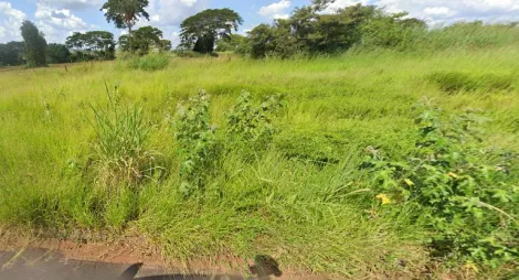 imagem 1 - Anúncio de Terreno em Ótima Localização no Parque Vila Nobre imagem 1 - Anúncio de Terreno em Ótima Localização no Parque Vila Nobre