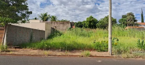 Terreno / Padrão em São José do Rio Preto 