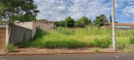 Comprar Terreno / Padrão em São José do Rio Preto R$ 86.500,00 - Foto 2