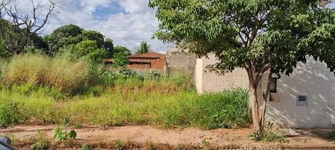 Comprar Terreno / Padrão em São José do Rio Preto apenas R$ 87.000,00 - Foto 2