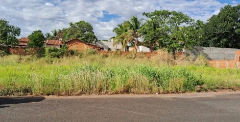 Terreno / Padrão em São José do Rio Preto 