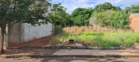 Terreno / Padrão em São José do Rio Preto 