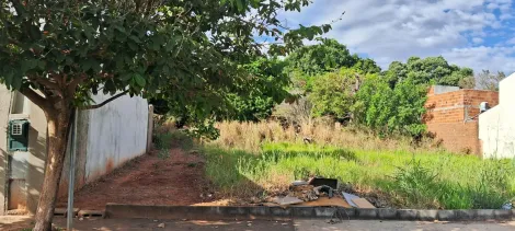 Comprar Terreno / Padrão em São José do Rio Preto apenas R$ 90.000,00 - Foto 3