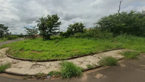 Terreno / Padrão em São José do Rio Preto 