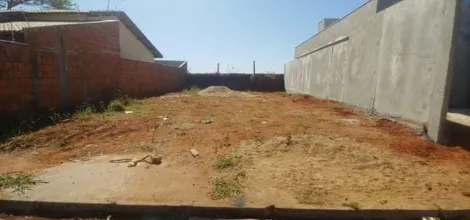 imagem 2 - Terreno Padrão Bom Sucesso - Rio Preto imagem 2 - Terreno Padrão Bom Sucesso - Rio Preto