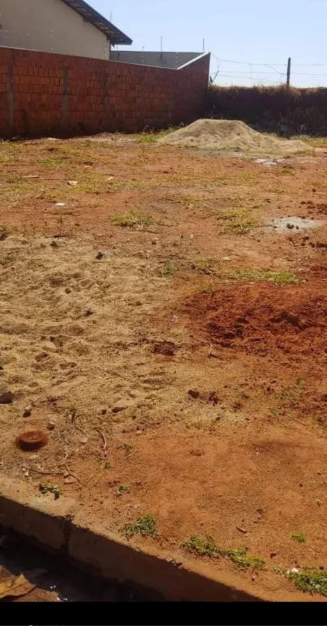 imagem 3 - Terreno Padrão Bom Sucesso - Rio Preto imagem 3 - Terreno Padrão Bom Sucesso - Rio Preto