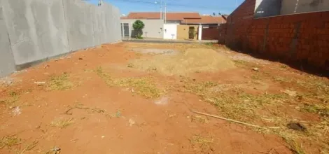 imagem 4 - Terreno Padrão Bom Sucesso - Rio Preto imagem 4 - Terreno Padrão Bom Sucesso - Rio Preto