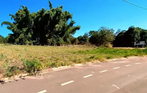 Terreno / Padrão em Bady Bassitt 