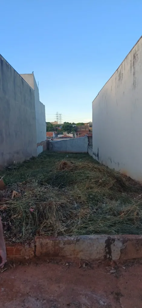 Terreno / Padrão em São José do Rio Preto , Comprar por R$70.000,00