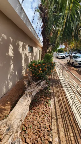 Alugar Comercial / Casa Comercial em São José do Rio Preto apenas R$ 4.000,00 - Foto 21