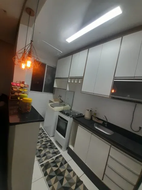 Comprar Apartamento / Padrão em São José do Rio Preto apenas R$ 185.000,00 - Foto 3