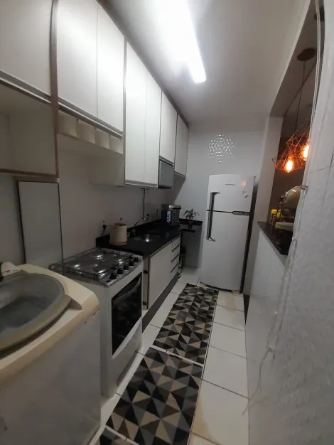 Comprar Apartamento / Padrão em São José do Rio Preto apenas R$ 185.000,00 - Foto 5