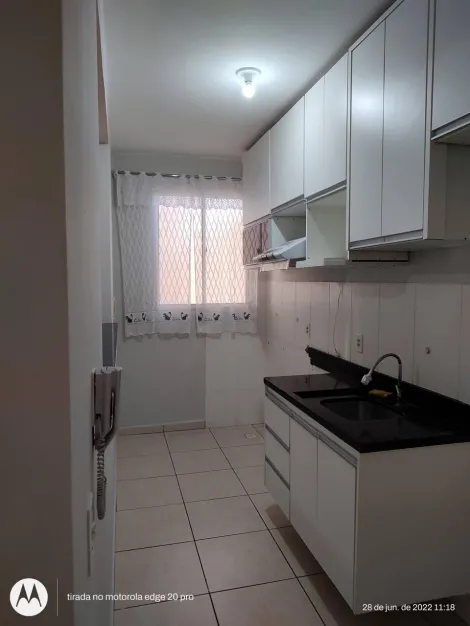 Apartamento / Padrão em São José do Rio Preto 