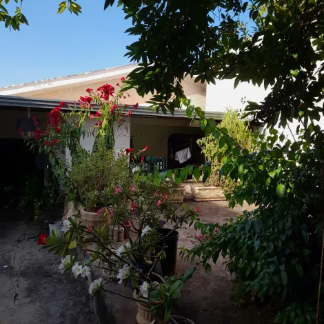 Casa / Padrão em São José do Rio Preto 