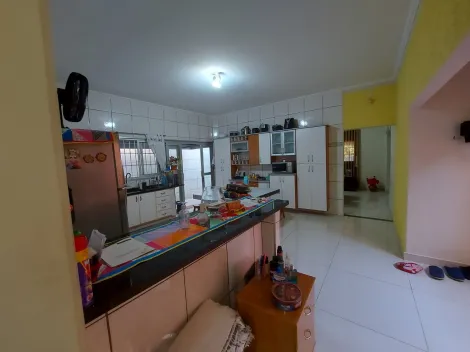 Alugar Casa / Padrão em São José do Rio Preto. apenas R$ 500.000,00