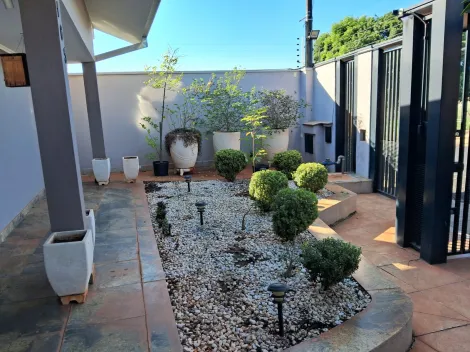 imagem 4 - Linda Casa no Jardim Francisco Fernandes imagem 4 - Linda Casa no Jardim Francisco Fernandes