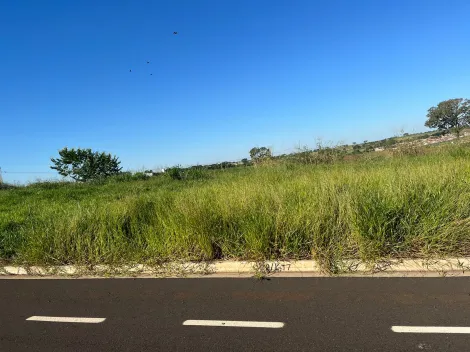 Terreno / Padrão em São José do Rio Preto 