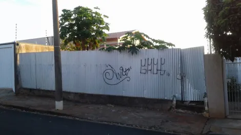 Terreno / Padrão em São José do Rio Preto 