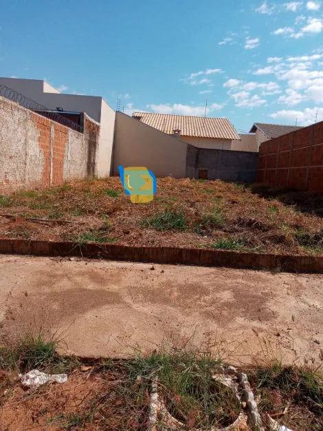 imagem 3 - Lote na região do Maria Zorita no bairro Jardim Bela Vista imagem 3 - Lote na região do Maria Zorita no bairro Jardim Bela Vista