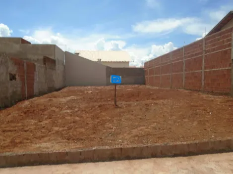 imagem 2 - Lote na região do Maria Zorita no bairro Jardim Bela Vista imagem 2 - Lote na região do Maria Zorita no bairro Jardim Bela Vista