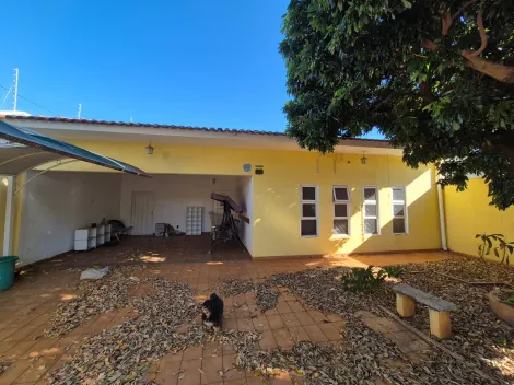 São José do Rio Preto - Vila Santa Cândida - Comercial - Casa Comercial - Venda