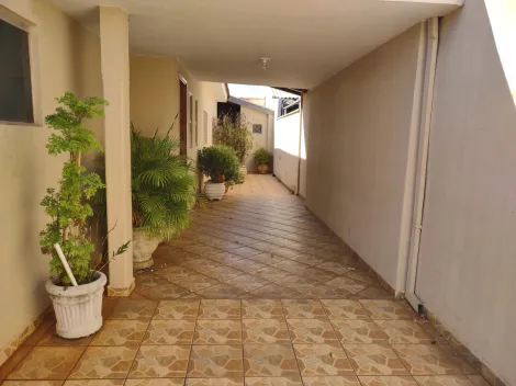 Alugar Casa / Padrão em São José do Rio Preto. apenas R$ 650.000,00