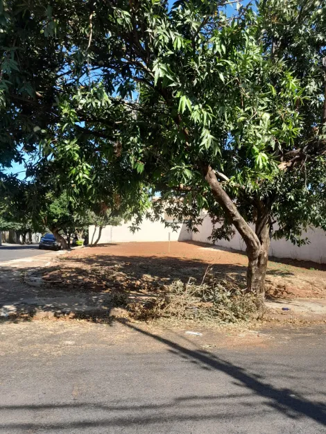 imagem 1 - Terreno - Padrão imagem 1 - Terreno - Padrão