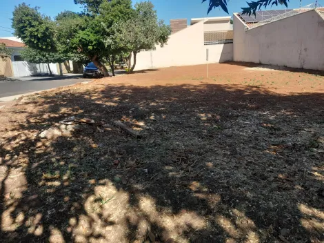 imagem 2 - Terreno - Padrão imagem 2 - Terreno - Padrão