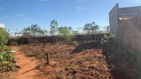 Alugar Terreno / Padrão em Mirassol. apenas R$ 120.000,00
