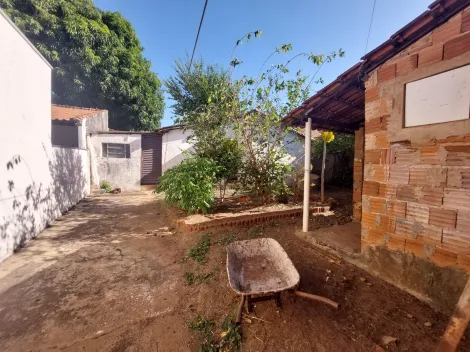 imagem 4 - Casa de fundos no Bairro São Francisco imagem 4 - Casa de fundos no Bairro São Francisco