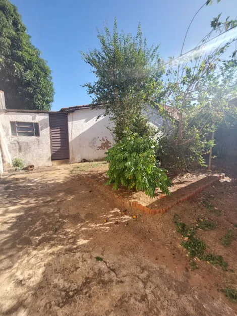 imagem 3 - Casa de fundos no Bairro São Francisco imagem 3 - Casa de fundos no Bairro São Francisco