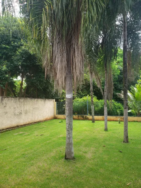 imagem 5 - Rancho Venda Loteamento Pedegral Guaraci-SP imagem 5 - Rancho Venda Loteamento Pedegral Guaraci-SP