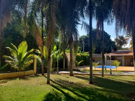 imagem 1 - Rancho Venda Loteamento Pedegral Guaraci-SP imagem 1 - Rancho Venda Loteamento Pedegral Guaraci-SP