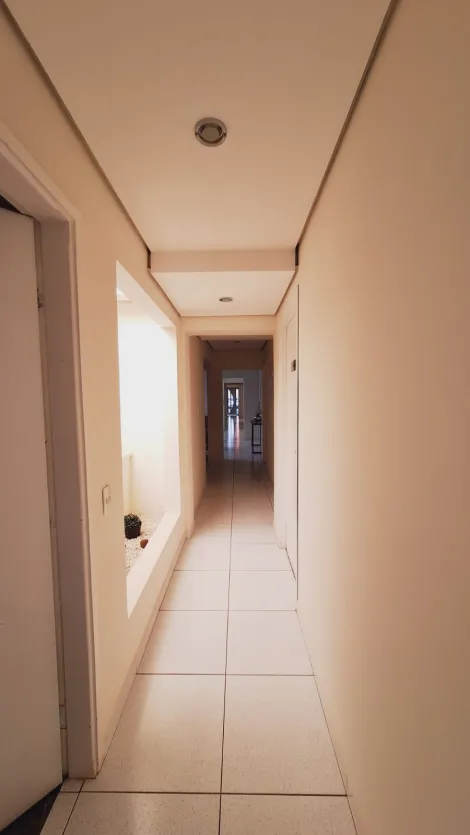 Alugar Comercial / Sala em São José do Rio Preto apenas R$ 1.500,00 - Foto 7