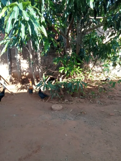 imagem 4 - Catanduva - Loteamento Cidade Jardim imagem 4 - Catanduva - Loteamento Cidade Jardim