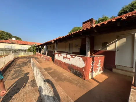 imagem 3 - Sítio em Macaubal imagem 3 - Sítio em Macaubal