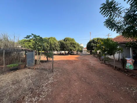 imagem 2 - Sítio em Macaubal imagem 2 - Sítio em Macaubal