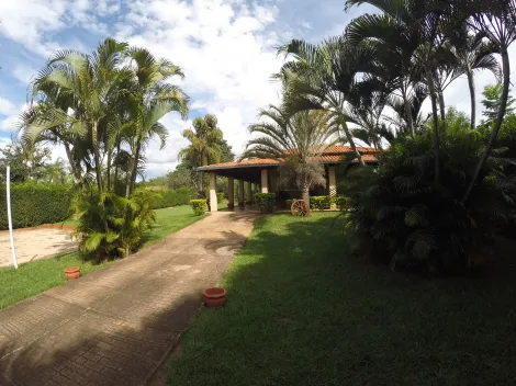 Comprar Rural / Chácara em Guapiaçu apenas R$ 849.000,00 - Foto 2