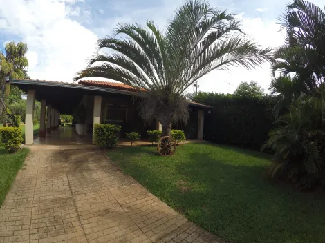 Comprar Rural / Chácara em Guapiaçu apenas R$ 849.000,00 - Foto 3