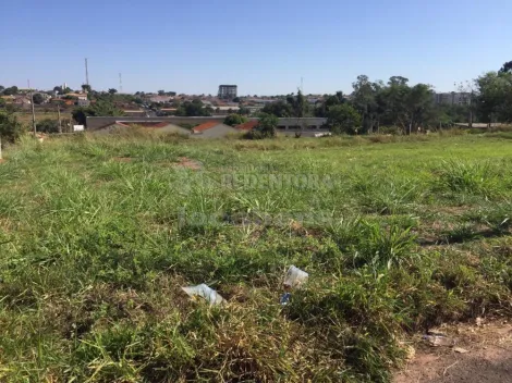 imagem 1 - Bady Bassitt - Menezes II - 291,50 m², bom local, meio de quadra, quitado, aceita financiamento. imagem 1 - Bady Bassitt - Menezes II - 291,50 m², bom local, meio de quadra, quitado, aceita financiamento.