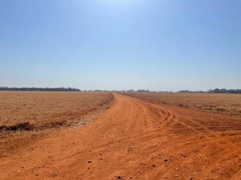imagem 4 - Excelente fazenda na Vila Barroso, com 206,66 Ha de área total! imagem 4 - Excelente fazenda na Vila Barroso, com 206,66 Ha de área total!