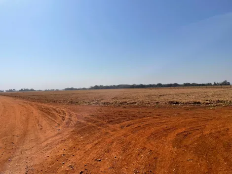imagem 2 - Excelente fazenda na Vila Barroso, com 206,66 Ha de área total! imagem 2 - Excelente fazenda na Vila Barroso, com 206,66 Ha de área total!