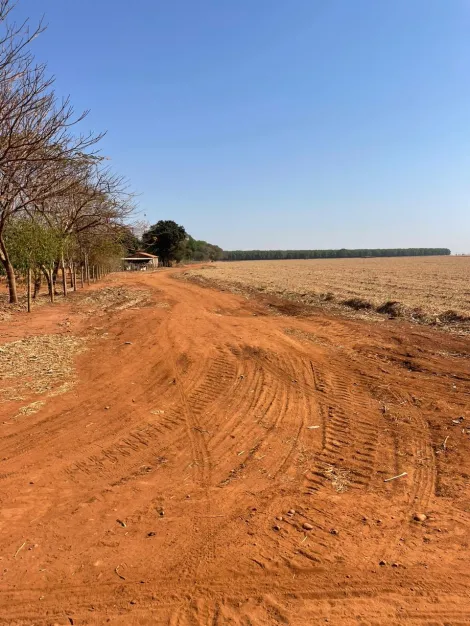 imagem 3 - Excelente fazenda na Vila Barroso, com 206,66 Ha de área total! imagem 3 - Excelente fazenda na Vila Barroso, com 206,66 Ha de área total!