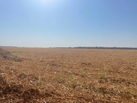 imagem 5 - Excelente fazenda na Vila Barroso, com 206,66 Ha de área total! imagem 5 - Excelente fazenda na Vila Barroso, com 206,66 Ha de área total!