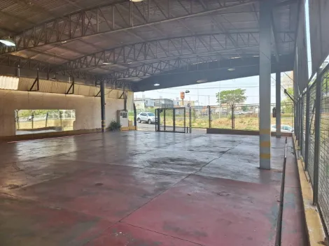 imagem 5 - Salao Comercial Locação ou Venda Vila Angélica imagem 5 - Salao Comercial Locação ou Venda Vila Angélica