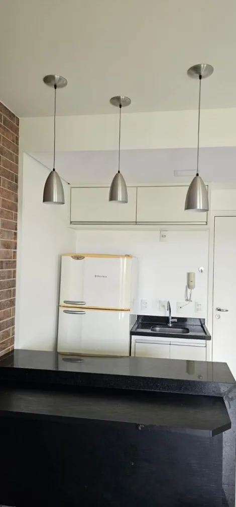 imagem 5 - Excelente Apartamento Studio para Locação - 1 Dormitório / Jardim Tarraf II imagem 5 - Excelente Apartamento Studio para Locação - 1 Dormitório / Jardim Tarraf II